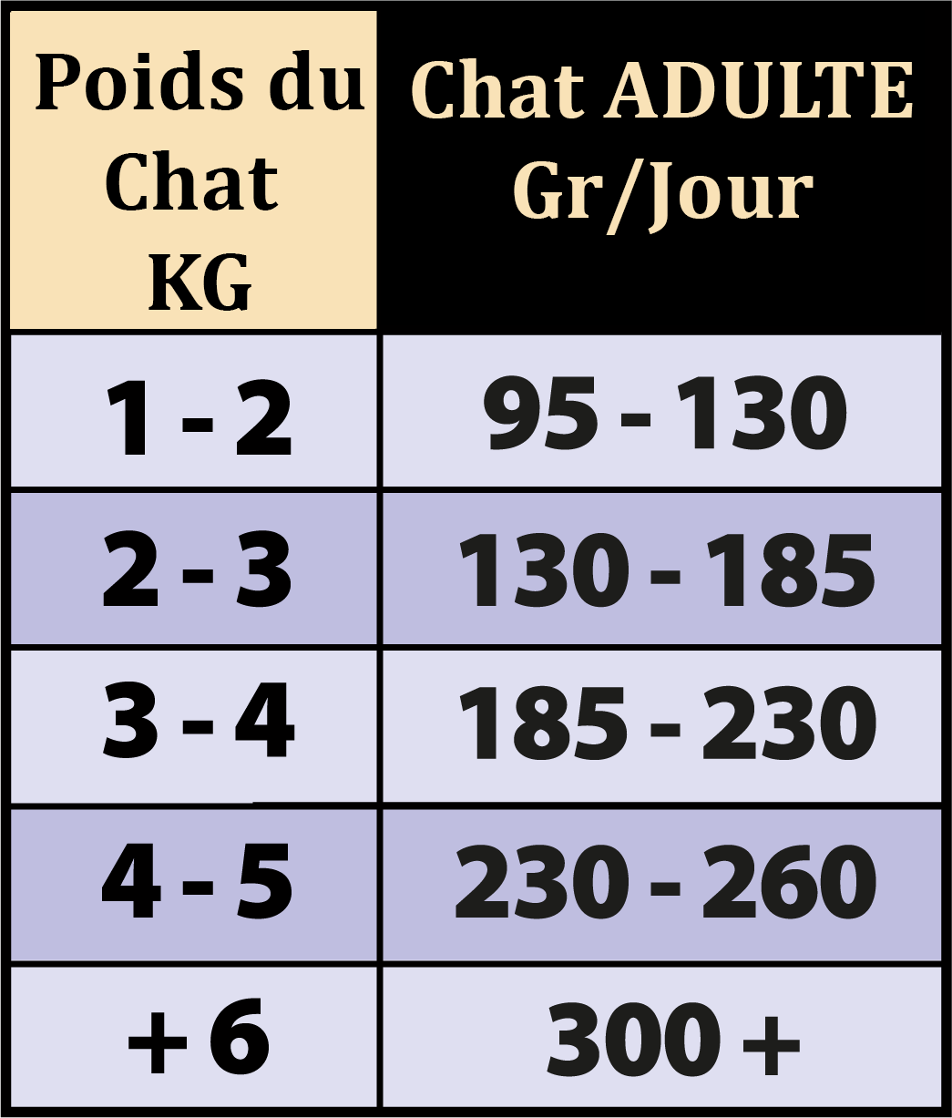 ration patée saumon et dinde pour chat