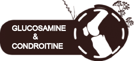 glucosmine chondroitine